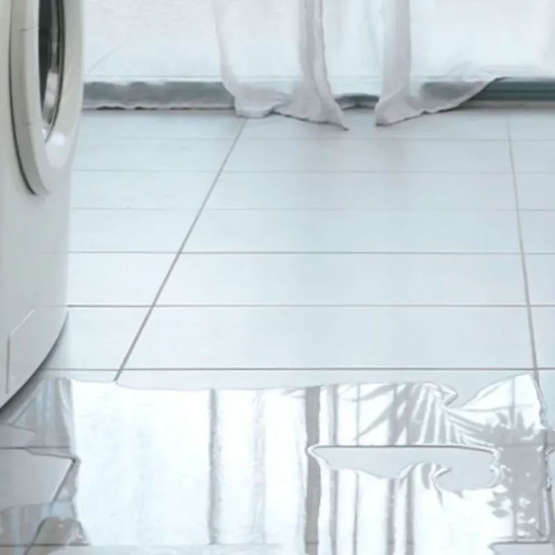 Appliance Leak Cleanup in Castroville, TX